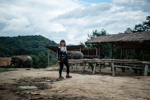 BIB: 
                            <button type="button" onclick="openModal(22423473)" class="btn btn-primary btn-sm float-right btn-popup" data-toggle="modal" data-target=".modal-high-quality">
                        <i class="fas fa-shopping-cart"></i> Add to Cart
                    </button>
                                            <button type="button" onclick="isThisMe(22423473, true)" class="btn btn-success btn-sm float-right btn-popup btn-isme hidden" data-toggle="tooltip" data-placement="bottom" title="นี่คือรูปของคุณใช่ไหม คลิกที่นี่เพื่อเอาเข้าอัลบั้ม">
                        <i class="fas fa-plus"></i> Add to album
                    </button>
                    <button type="button" onclick="isThisMe(22423473, false)" class="btn btn-warning btn-sm float-right btn-popup btn-isnotme hidden">
                        <i class="fas fa-ban"></i> Remove from album
                    </button>